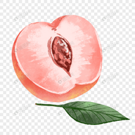 罗莉岛免费安装教程官方版APP应用